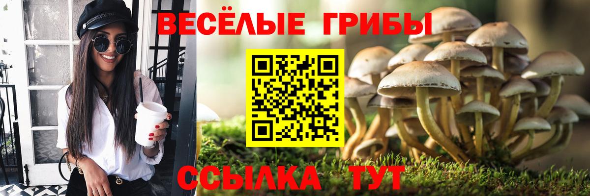 Галлюциногенные грибы мухоморы Иваново